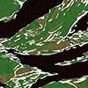 Tiger Stripe
